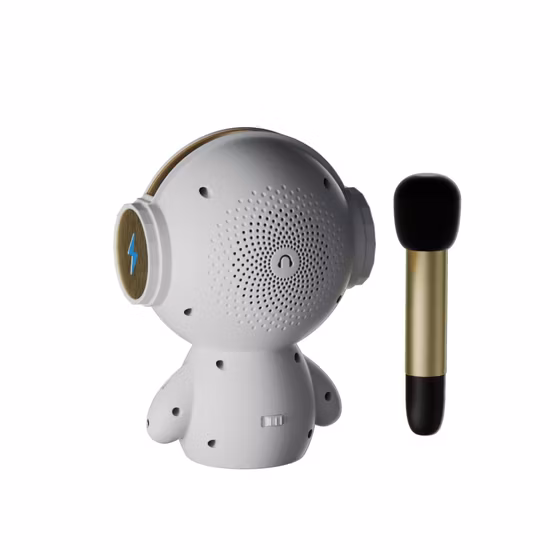 Tw M100 Robot Smart Karaoke Bluetooth Speaker Ai Voice Intercom with Microphone